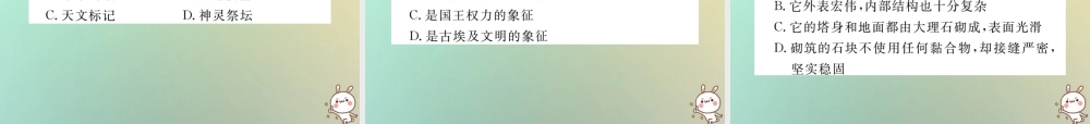 九年级历史上册 第一单元 亚非文明国家 第1课 古代埃及习题课件 川教版 课件