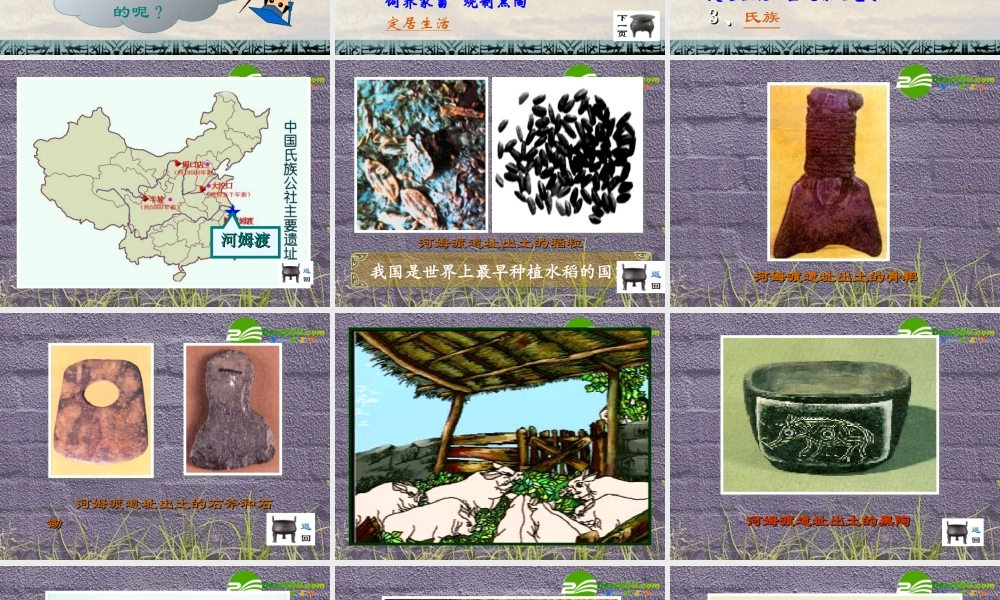 七年级历史上册 第2课(原始的农耕生活)课件 岳麓版 课件