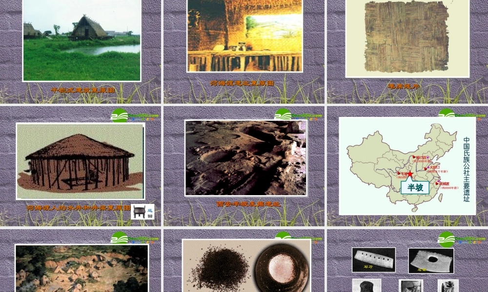 七年级历史上册 第2课(原始的农耕生活)课件 岳麓版 课件