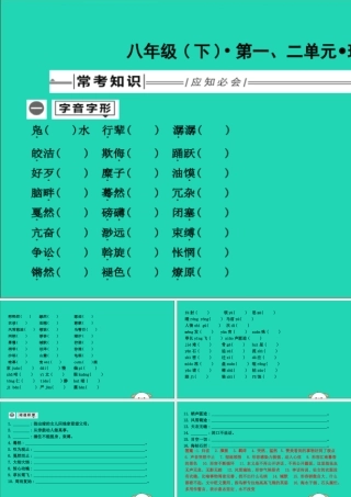 中考语文总复习 第一部分 教材基础自测 八下 第一、二单元 现代文课件 新人教版 课件