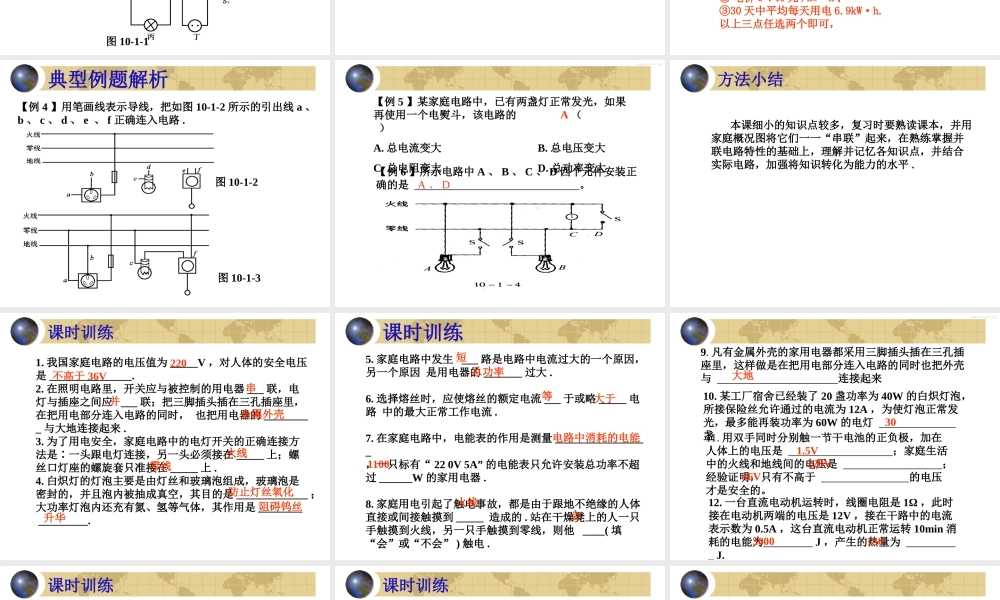 中考物理专题复习 生活用电 课件