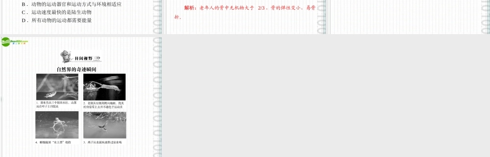 (随堂优化训练)八年级生物上册 第5单元 第15章 章末知识提升课件 北师大版 课件