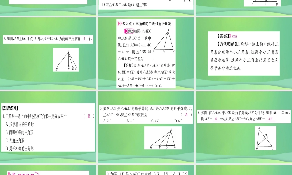 (江西专用)八年级数学上册 第11章 三角形 11.1 与三角形有关的线段 11.1.2 三角形的高、中线与角平分线作业课件 (新版)新人教版 课件