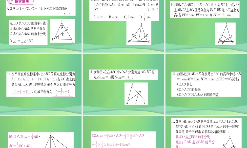 (江西专用)八年级数学上册 第11章 三角形 11.1 与三角形有关的线段 11.1.2 三角形的高、中线与角平分线作业课件 (新版)新人教版 课件