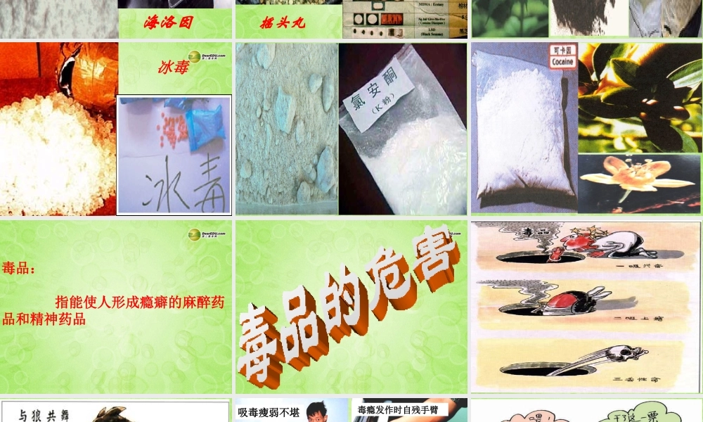 七年级政治上册 第三课 珍爱生命课件 新人教版 课件