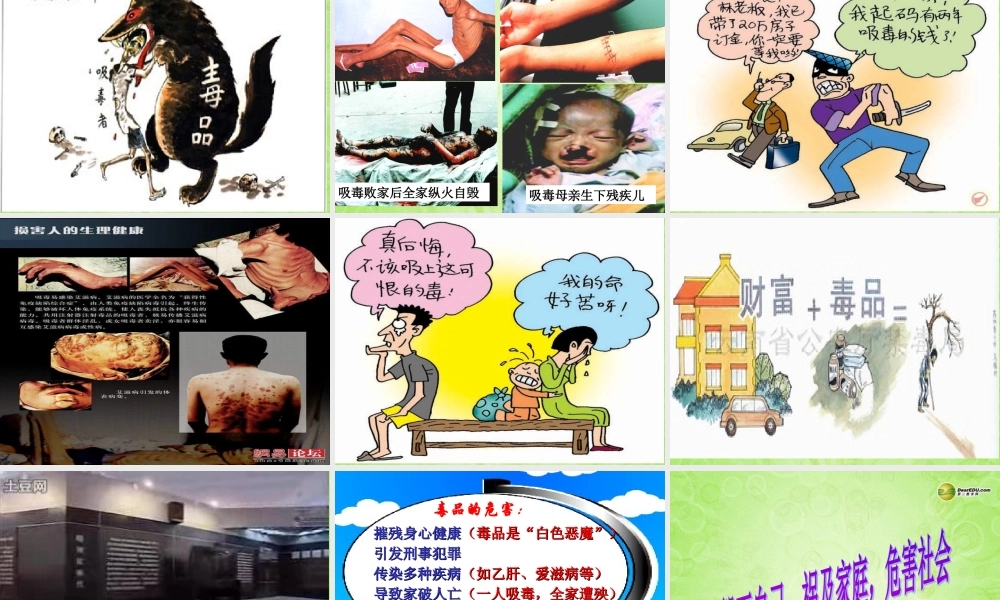 七年级政治上册 第三课 珍爱生命课件 新人教版 课件