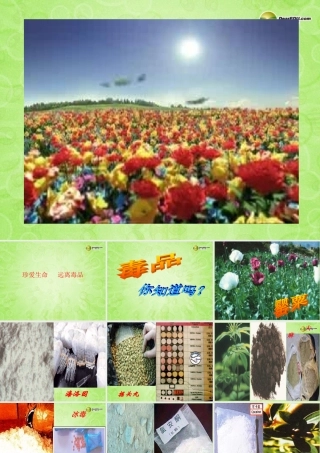 七年级政治上册 第三课 珍爱生命课件 新人教版 课件