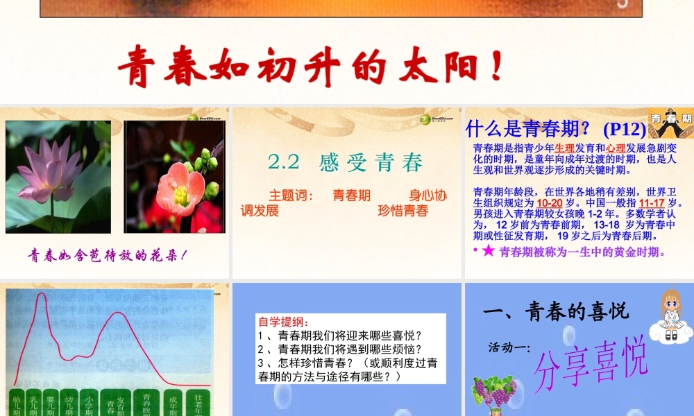 七年级政治上册 第2单元第2课 感受青春课件 粤教版 课件