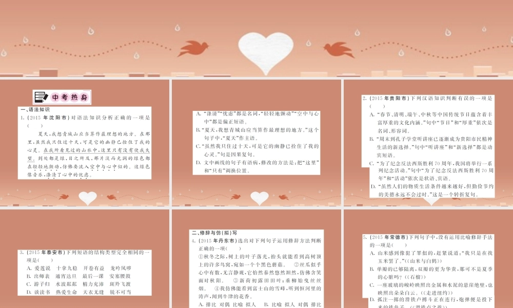中考语文 专题八 语法、修辞与仿(拟)写课件 语文版 课件