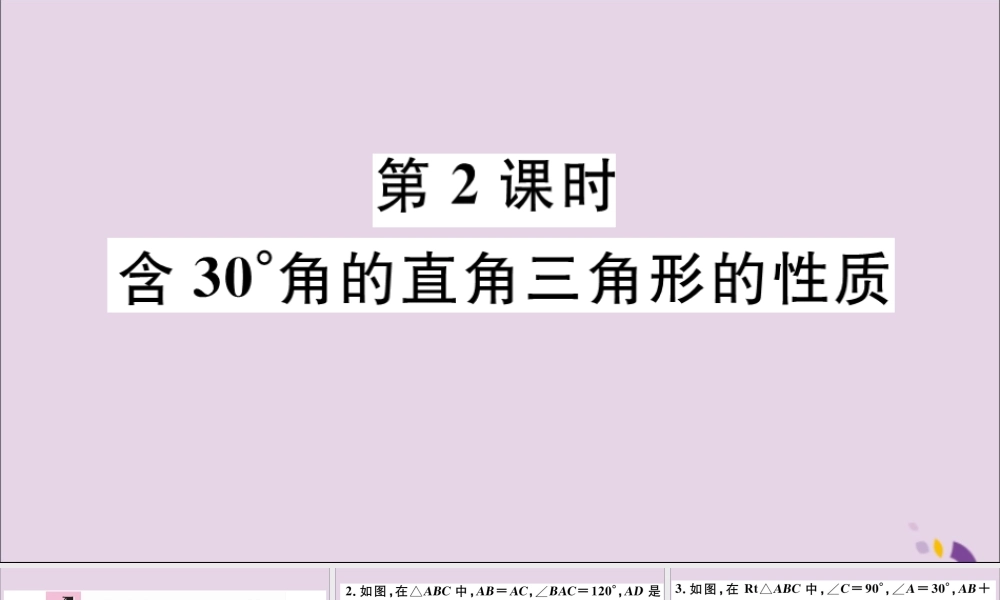 (河北专版)八年级数学上册 13.3 等腰三角形 13.3.2 第2课时 含30°角的直角三角形的性质习题课件 (新版)新人教版 课件