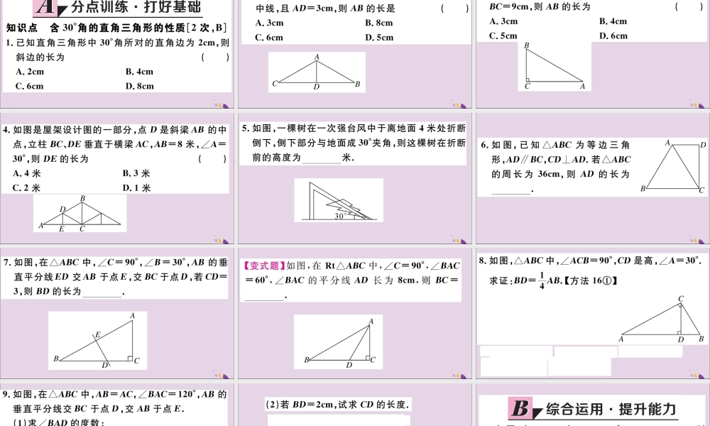 (河北专版)八年级数学上册 13.3 等腰三角形 13.3.2 第2课时 含30°角的直角三角形的性质习题课件 (新版)新人教版 课件