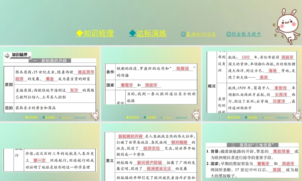 九年级历史上册 第五单元 资本主义的兴起 第十四课 新航线的开辟和早期殖民掠夺课件 川教版 课件