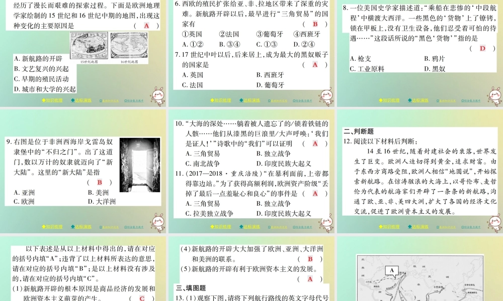 九年级历史上册 第五单元 资本主义的兴起 第十四课 新航线的开辟和早期殖民掠夺课件 川教版 课件