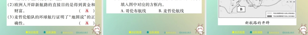 九年级历史上册 第五单元 资本主义的兴起 第十四课 新航线的开辟和早期殖民掠夺课件 川教版 课件