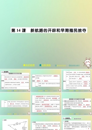 九年级历史上册 第五单元 资本主义的兴起 第十四课 新航线的开辟和早期殖民掠夺课件 川教版 课件