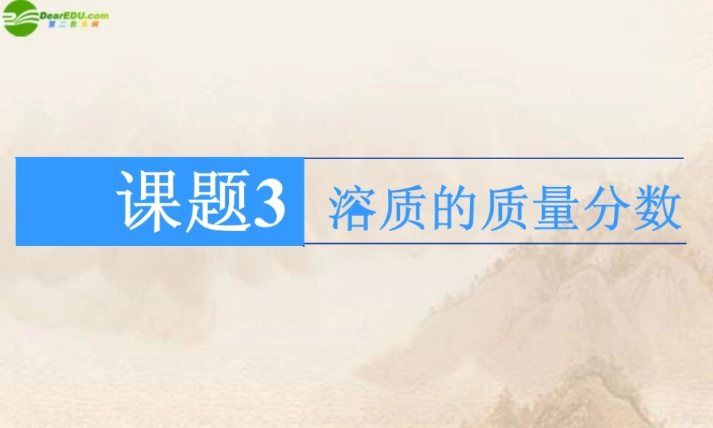 九年级化学下册(溶质的质量分数)课件 人教新课标版 课件