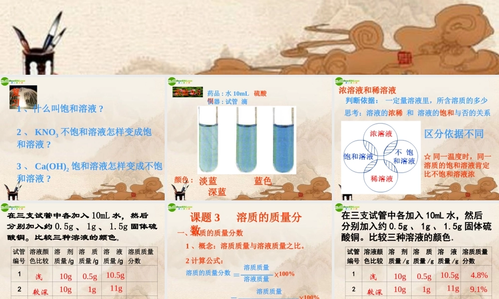 九年级化学下册(溶质的质量分数)课件 人教新课标版 课件