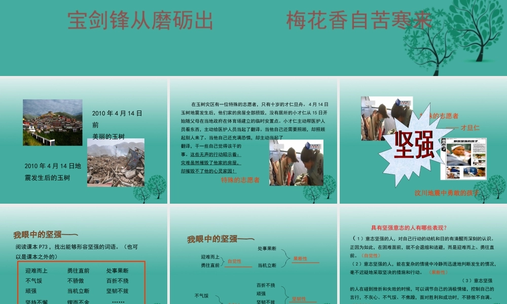 (秋季版)七年级政治上册 4.8.1 我们选择坚强课件1 鲁人版六三制(道德与法治) 课件