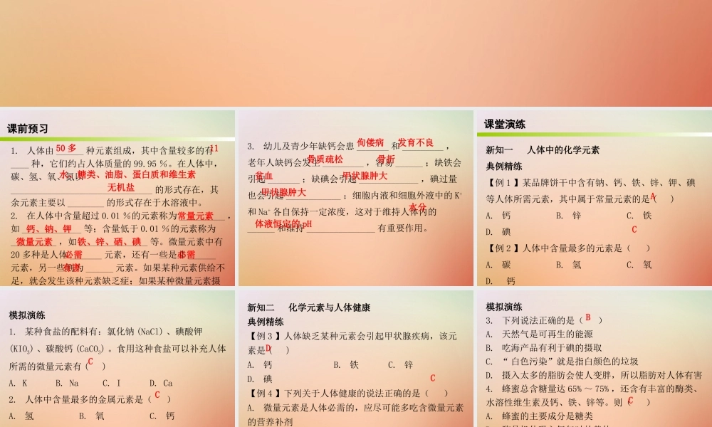 九年级化学下册 第十二单元 化学与生活 课题2 化学元素与人体健康(内文)课件 (新版)新人教版 课件