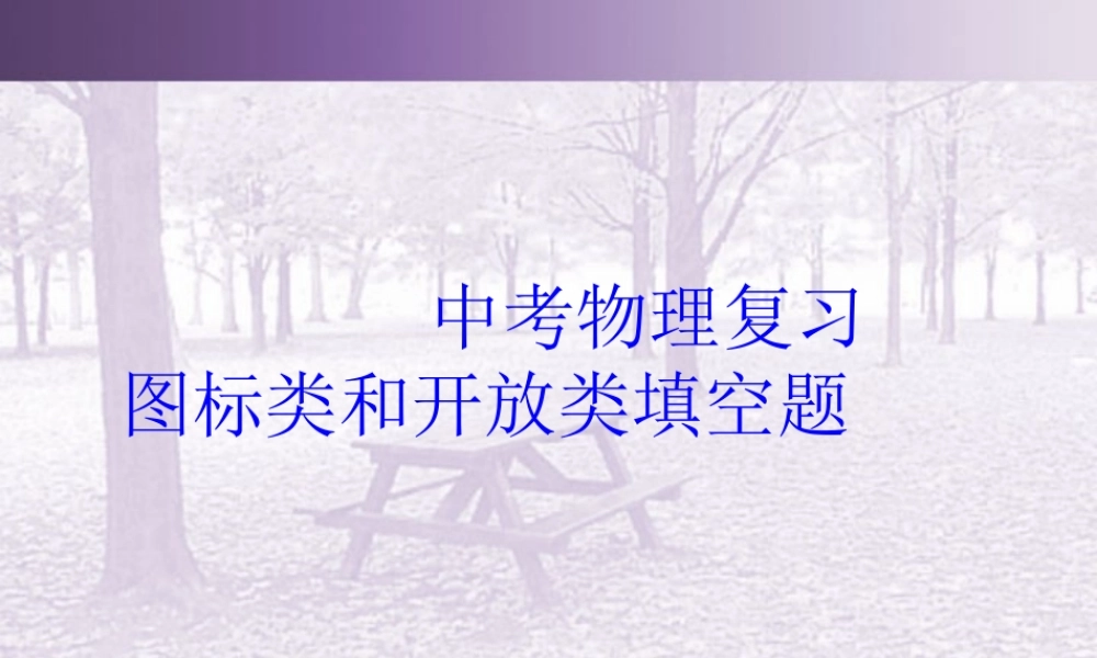 中考物理复习图标类和开放类填空题 试题