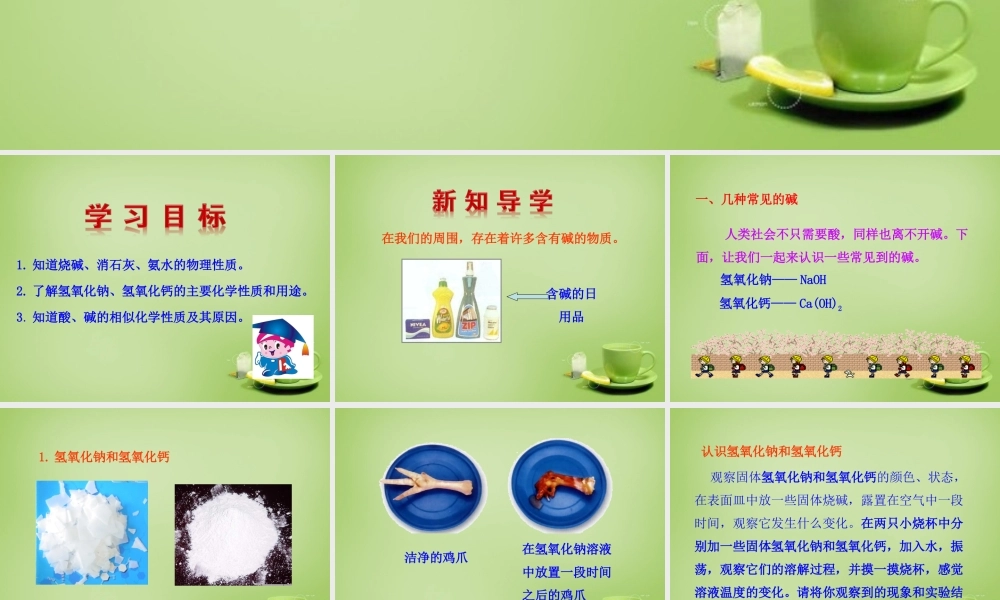 九年级化学下册 第10单元 课题1 第2课时 常见的碱课件 (新版)新人教版 课件