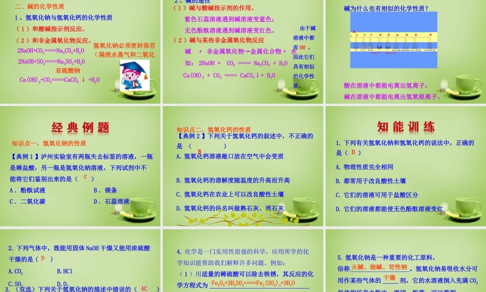 九年级化学下册 第10单元 课题1 第2课时 常见的碱课件 (新版)新人教版 课件