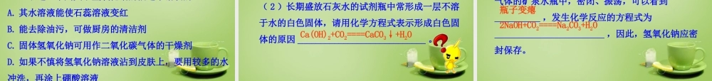 九年级化学下册 第10单元 课题1 第2课时 常见的碱课件 (新版)新人教版 课件