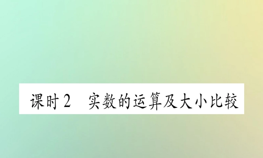 中考数学精选准点备考复习 第一轮 考点系统复习 第1章 数与式 第1节 实数 课时2 实数的运算及大小比较课件 新人教版 课件