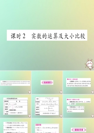 中考数学精选准点备考复习 第一轮 考点系统复习 第1章 数与式 第1节 实数 课时2 实数的运算及大小比较课件 新人教版 课件