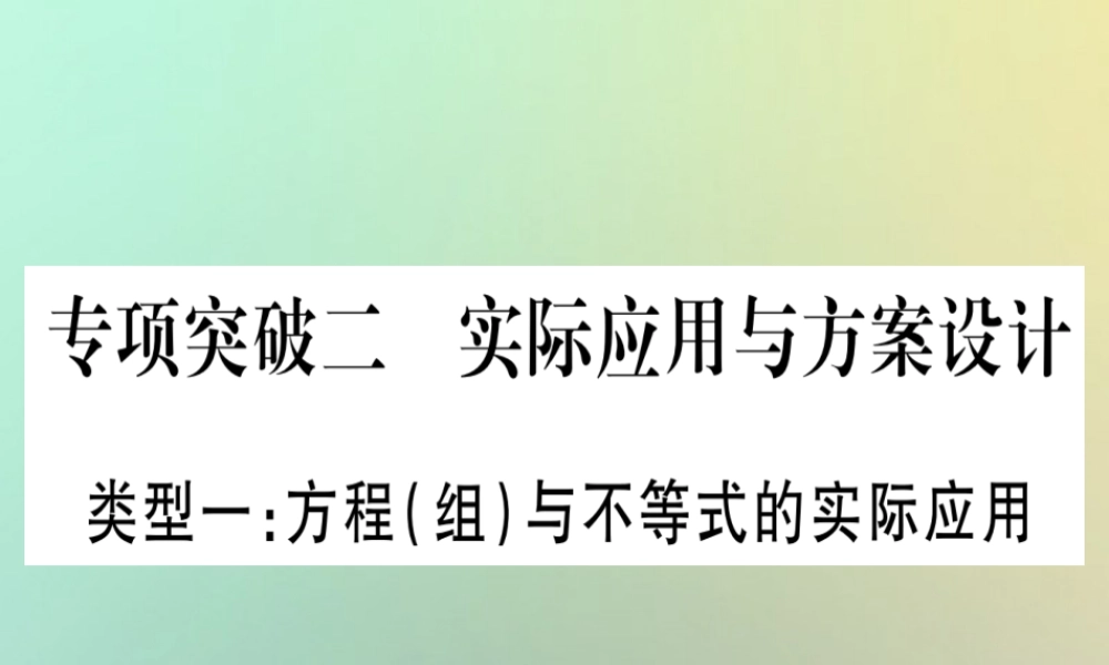 中考数学精选准点备考复习 第二轮 中档题突破 专项突破2 实际应用与方案设计课件 新人教版 课件
