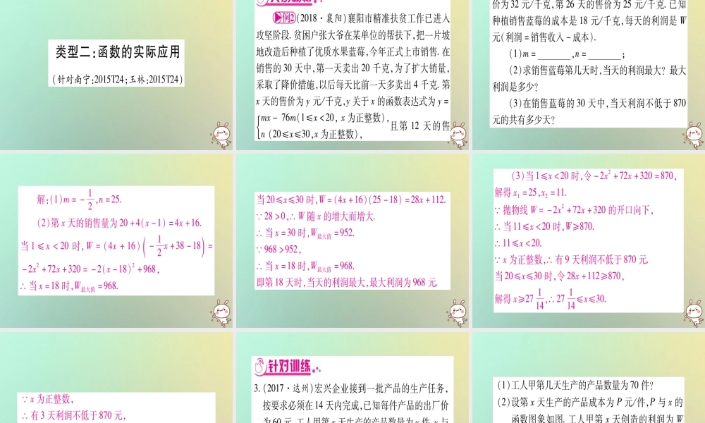 中考数学精选准点备考复习 第二轮 中档题突破 专项突破2 实际应用与方案设计课件 新人教版 课件