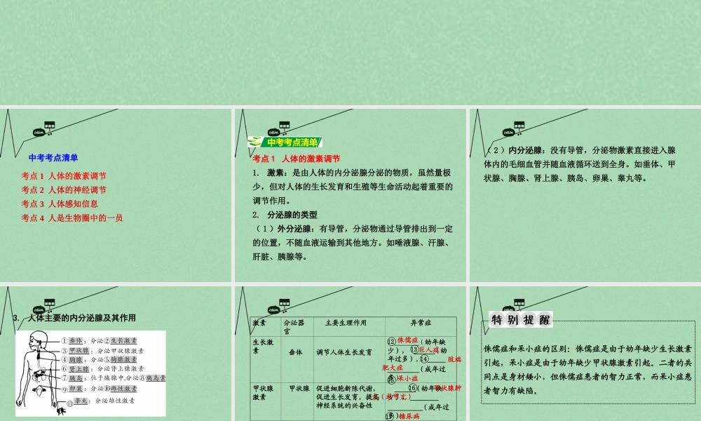 中考生物 第一部分 教材知识梳理 第4单元 第12 13章 复习课件 苏教版 课件
