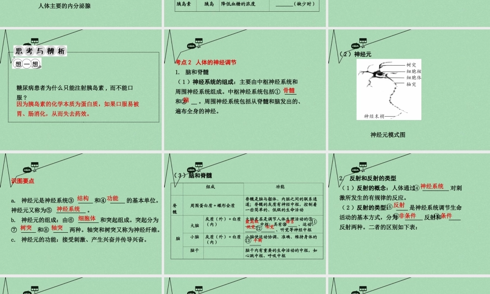 中考生物 第一部分 教材知识梳理 第4单元 第12 13章 复习课件 苏教版 课件