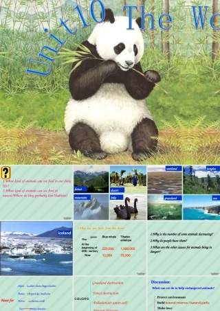 Unit10 The World Around Us 新课标 人教版 课件
