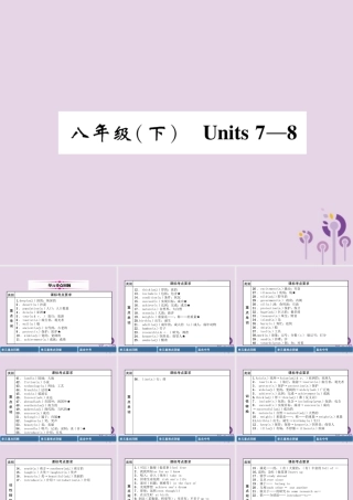 中考英语总复习 第一篇 教材知识梳理篇 八下 Units 7 8(精讲)课件