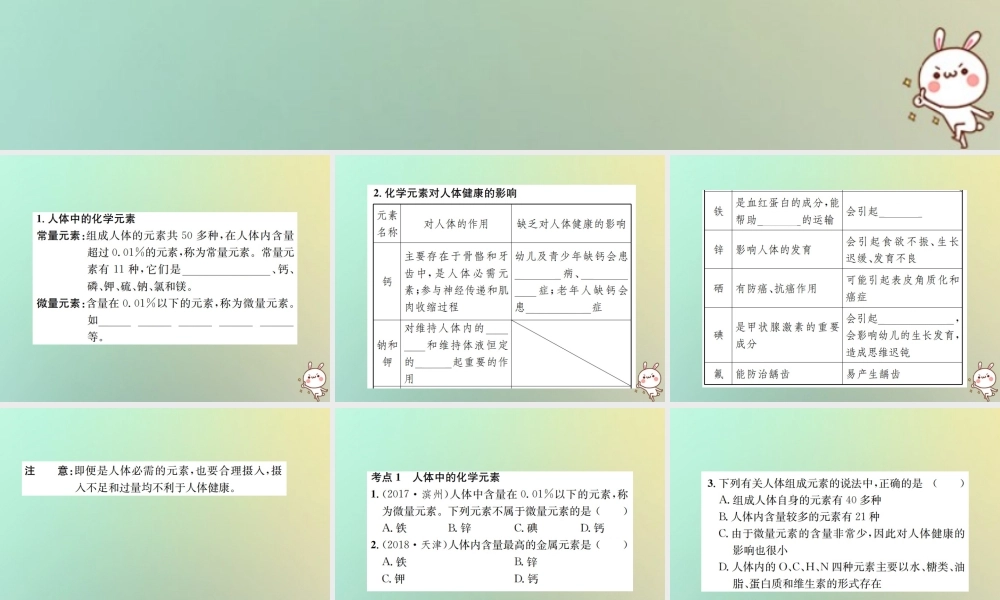 九年级化学下册 第十二单元 化学与生活 课题2 化学元素与人体健康习题课件 (新版)新人教版 课件