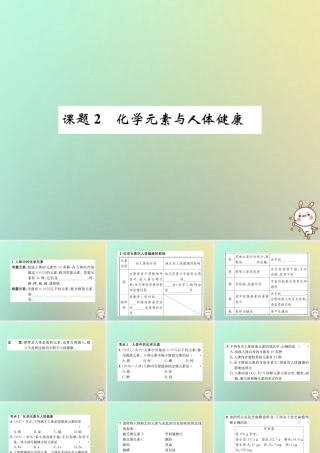 九年级化学下册 第十二单元 化学与生活 课题2 化学元素与人体健康习题课件 (新版)新人教版 课件