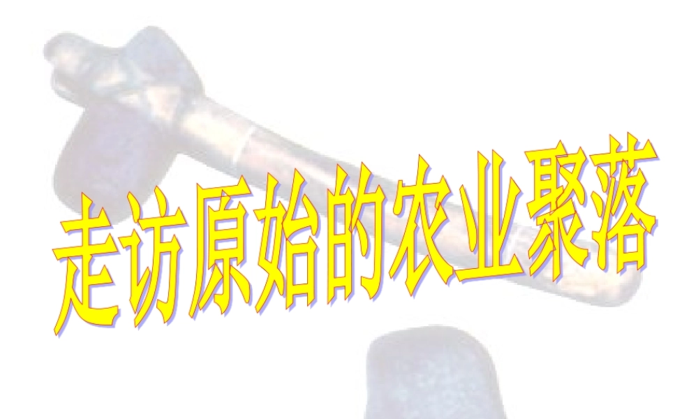 七年级历史与社会下册 第八单元 第1课 第2框(走访原始的农业聚落)课件2 人教版 课件