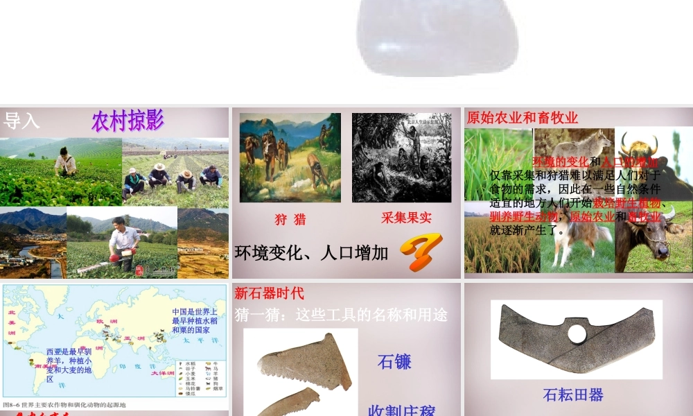 七年级历史与社会下册 第八单元 第1课 第2框(走访原始的农业聚落)课件2 人教版 课件