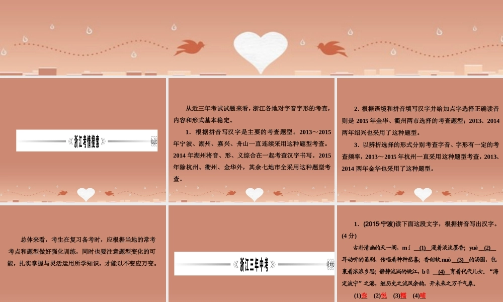 中考语文 第二篇 语文知识积累与运用 专题一 正确读写汉字讲解课件