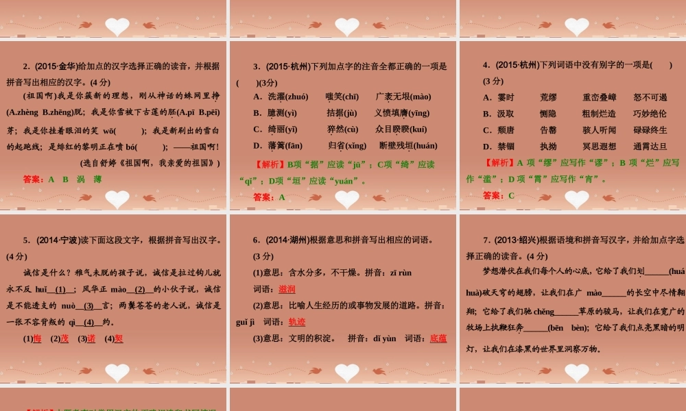 中考语文 第二篇 语文知识积累与运用 专题一 正确读写汉字讲解课件