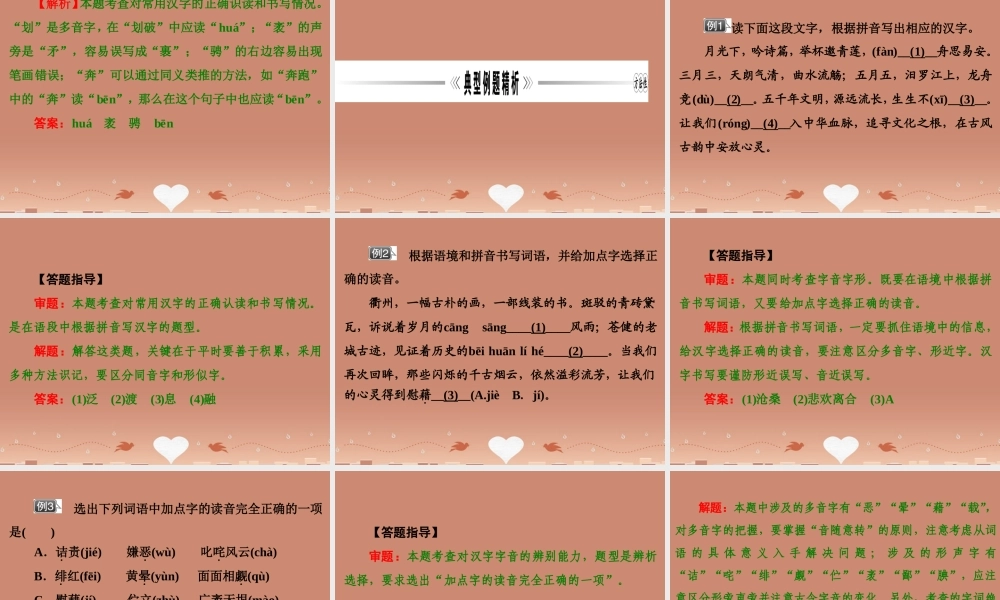 中考语文 第二篇 语文知识积累与运用 专题一 正确读写汉字讲解课件