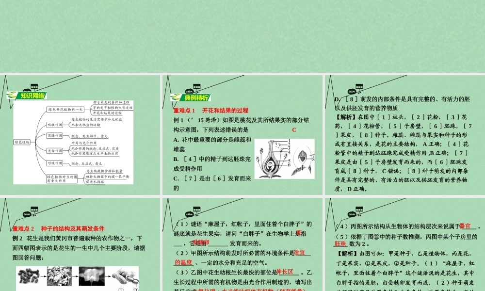中考生物 第二部分 重点专题突破 专题四 生物圈中的绿色植物复习课件 苏教版 课件