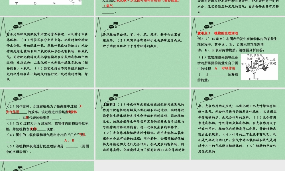 中考生物 第二部分 重点专题突破 专题四 生物圈中的绿色植物复习课件 苏教版 课件