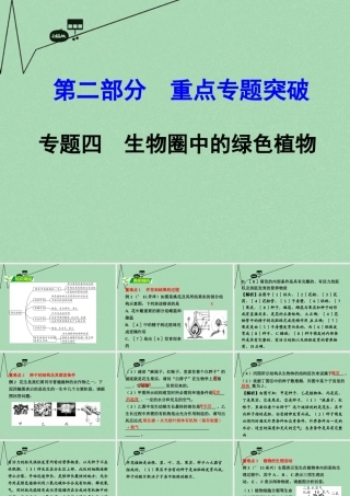 中考生物 第二部分 重点专题突破 专题四 生物圈中的绿色植物复习课件 苏教版 课件