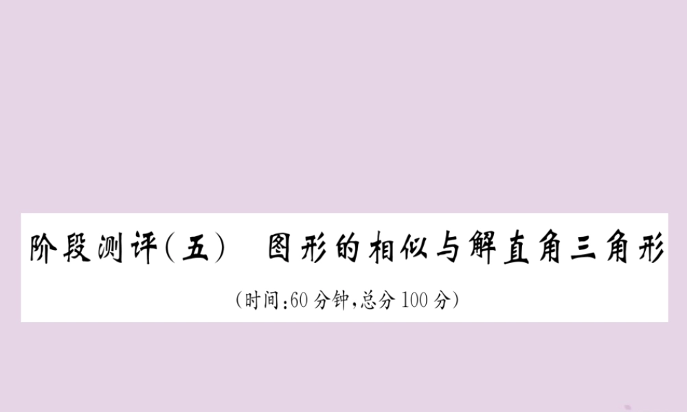 中考数学总复习 阶段测评(5)图形的相似与解直角三角形课件