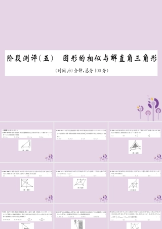 中考数学总复习 阶段测评(5)图形的相似与解直角三角形课件