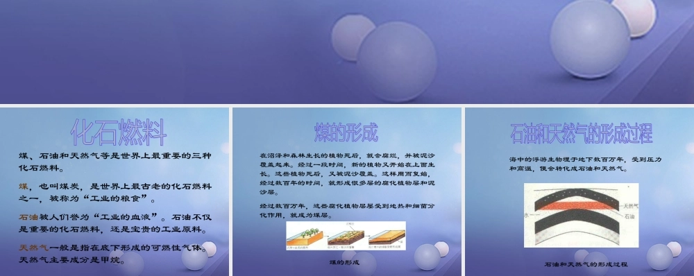 九年级化学上册 62 化石燃料的利用 化石燃料的形成素材 (新版)鲁教版 素材