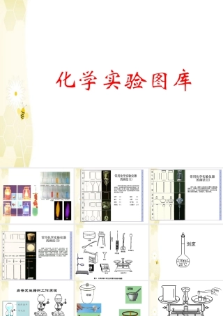 九年级化学 实验图片库素材(ppt)人教新课标版 素材