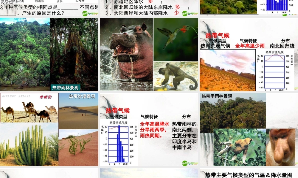 七年级地理上册 第四章第四节(世界主要气候类型)课件 湘教版 课件